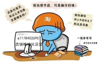 淘寶C店精細化運營 大鏈接爆款玩法的核心技術(shù)解析與轉(zhuǎn)讓價值